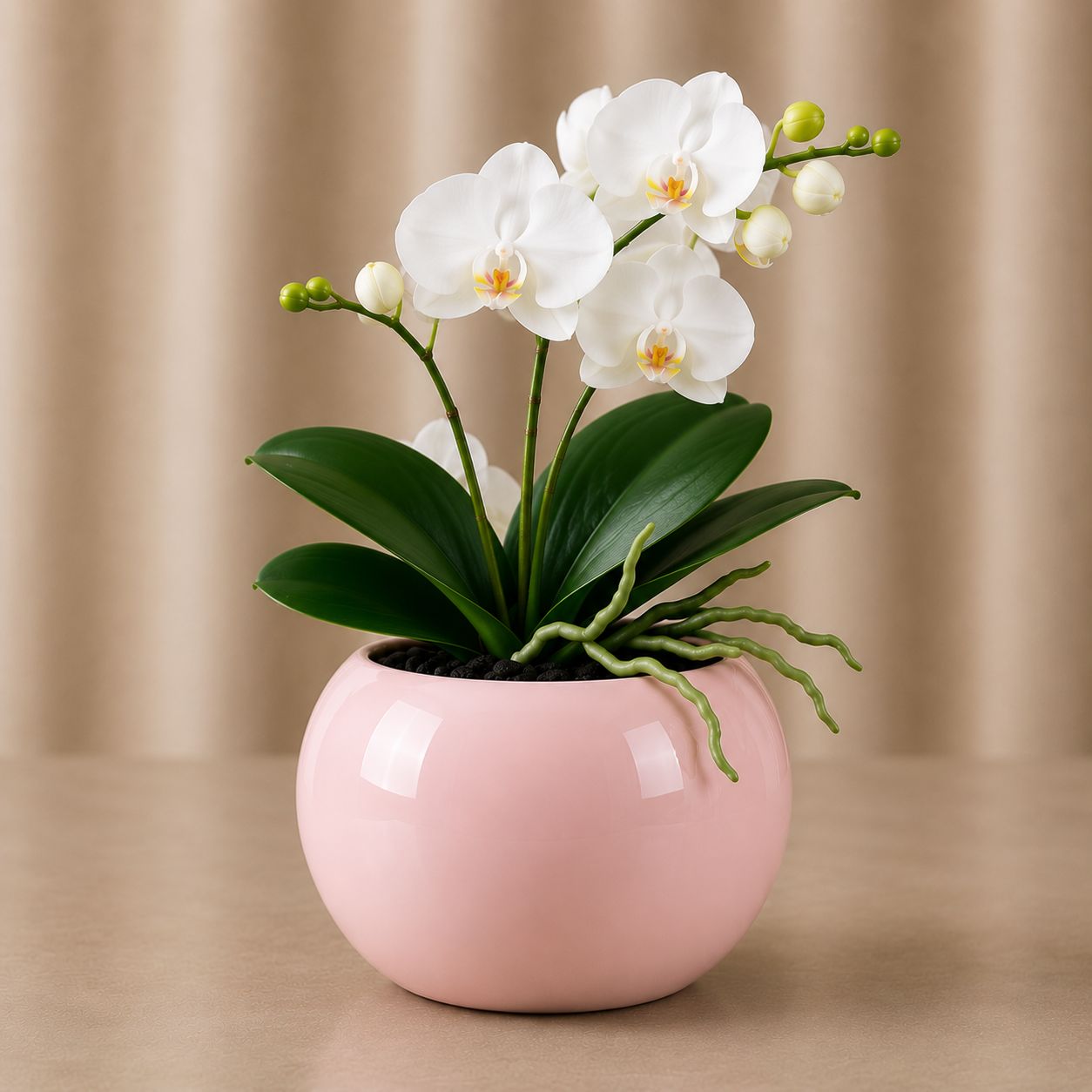 Premium Orchid Ceramic Plant Pot with Gold Trim and White Flowers