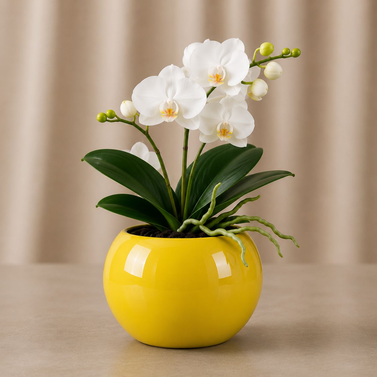 Premium Orchid Ceramic Plant Pot with Gold Trim and White Flowers