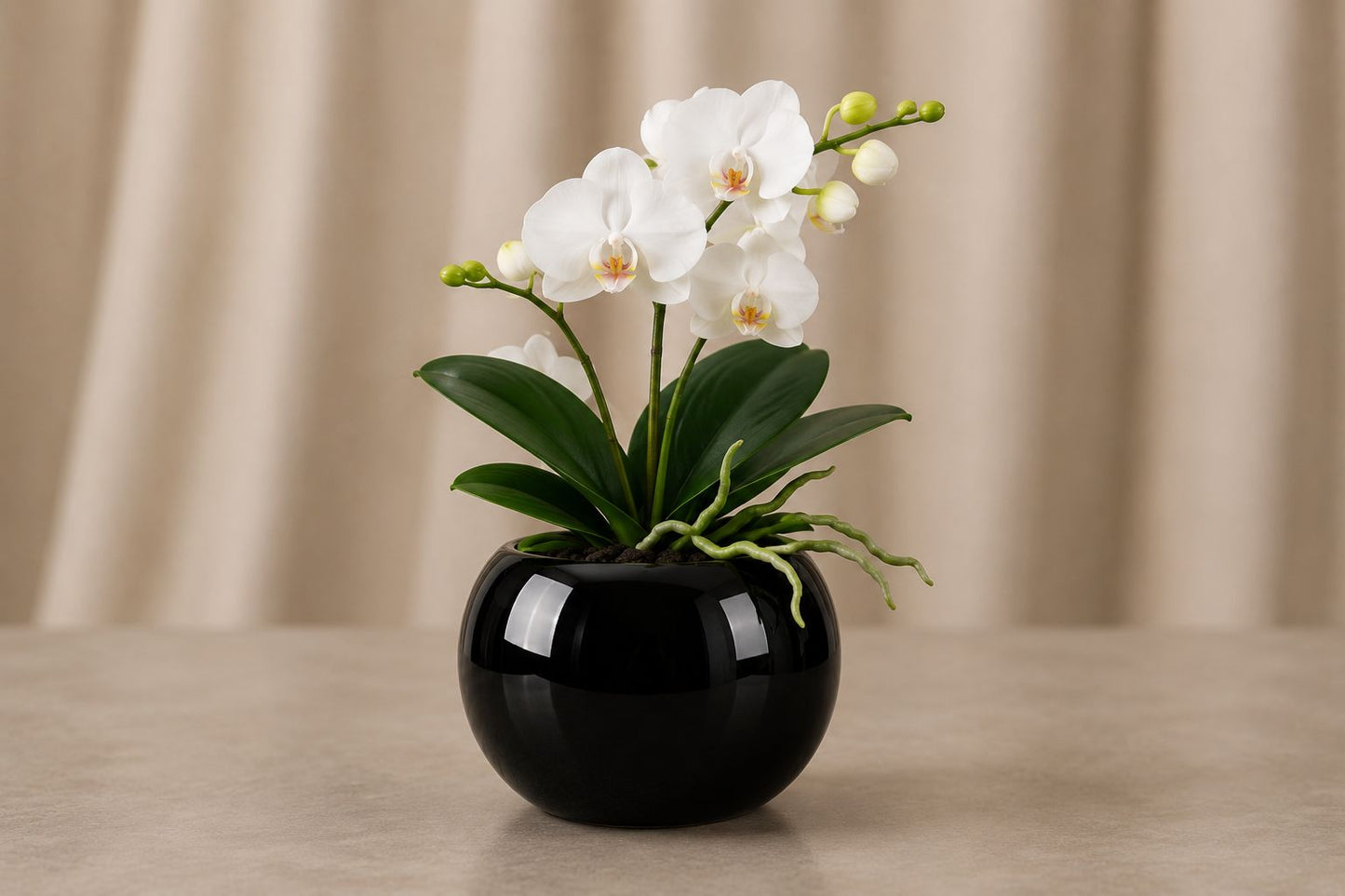 Premium Orchid Ceramic Plant Pot with Gold Trim and White Flowers