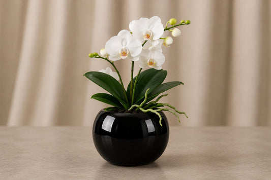 Premium Orchid Ceramic Plant Pot with Gold Trim and White Flowers